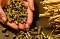 free Green Tye biomass boiler quotes